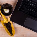 Nieruchomość z przedmiotami ogrodniczymi